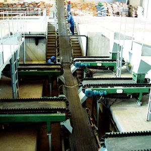 50000-500000t/y Auto BB fertilizer process & equipments